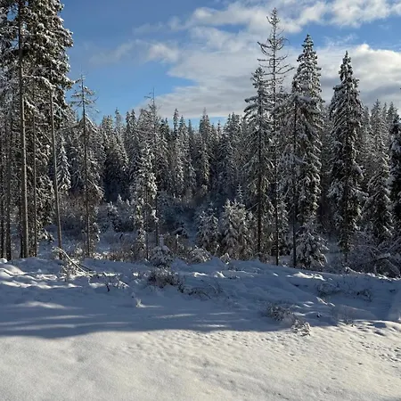 Apartment Luxusny Daniels Tatranska *