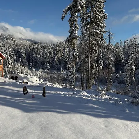 Luxusny Daniels Tatranska Apartment Strba